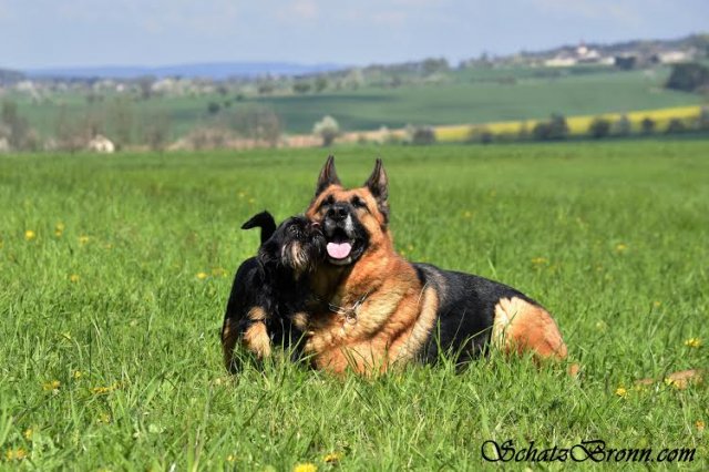 Judie Černý onyx