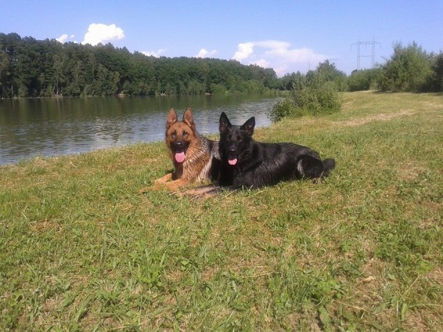 Ilo od Svatováclava